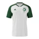 Camiseta Fútbol Arabia Saudita 2023 Segunda Equipación Hombre