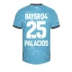 Camiseta Fútbol Bayer 04 Leverkusen Palacios #25 2023-24 Tercera Equipación Hombre