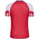 Camiseta Fútbol Dinamarca 2023 Primera Equipación Hombre