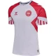 Camiseta Fútbol Dinamarca 2023 Segunda Equipación Hombre