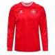 Camiseta Fútbol Dinamarca Christian Eriksen #10 2024 Primera Equipación Hombre Manga Larga