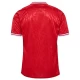 Camiseta Fútbol Dinamarca Eurocopa 2024 Primera Hombre Equipación