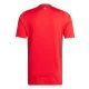 Camiseta Fútbol Gales 2024 Primera Equipación Hombre