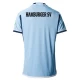 Camiseta Fútbol Hamburger SV 2023-24 Segunda Equipación Hombre