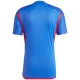 Camiseta Fútbol Olympique Lyonnais 2023-24 Segunda Equipación Hombre