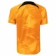 Camiseta Fútbol Países Bajos Mundial 2022 Primera Hombre Equipación