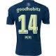 Camiseta Fútbol PSV Eindhoven Pepi #14 2023-24 Tercera Equipación Hombre