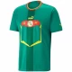 Camiseta Fútbol Senegal Mundial 2022 Segunda Hombre Equipación
