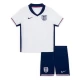 Niños Camiseta Fútbol Inglaterra Stones #5 Eurocopa 2024 Primera Equipación (+ Pantalones)