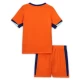 Niños Camiseta Fútbol Países Bajos Eurocopa 2024 Primera Equipación (+ Pantalones)